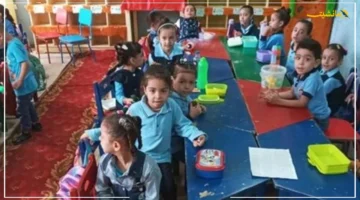 ظهرت الآن.. نتيجة تنسيق رياض الأطفال المرحلة الثانية محافظة القاهرة بالرقم القومي 1